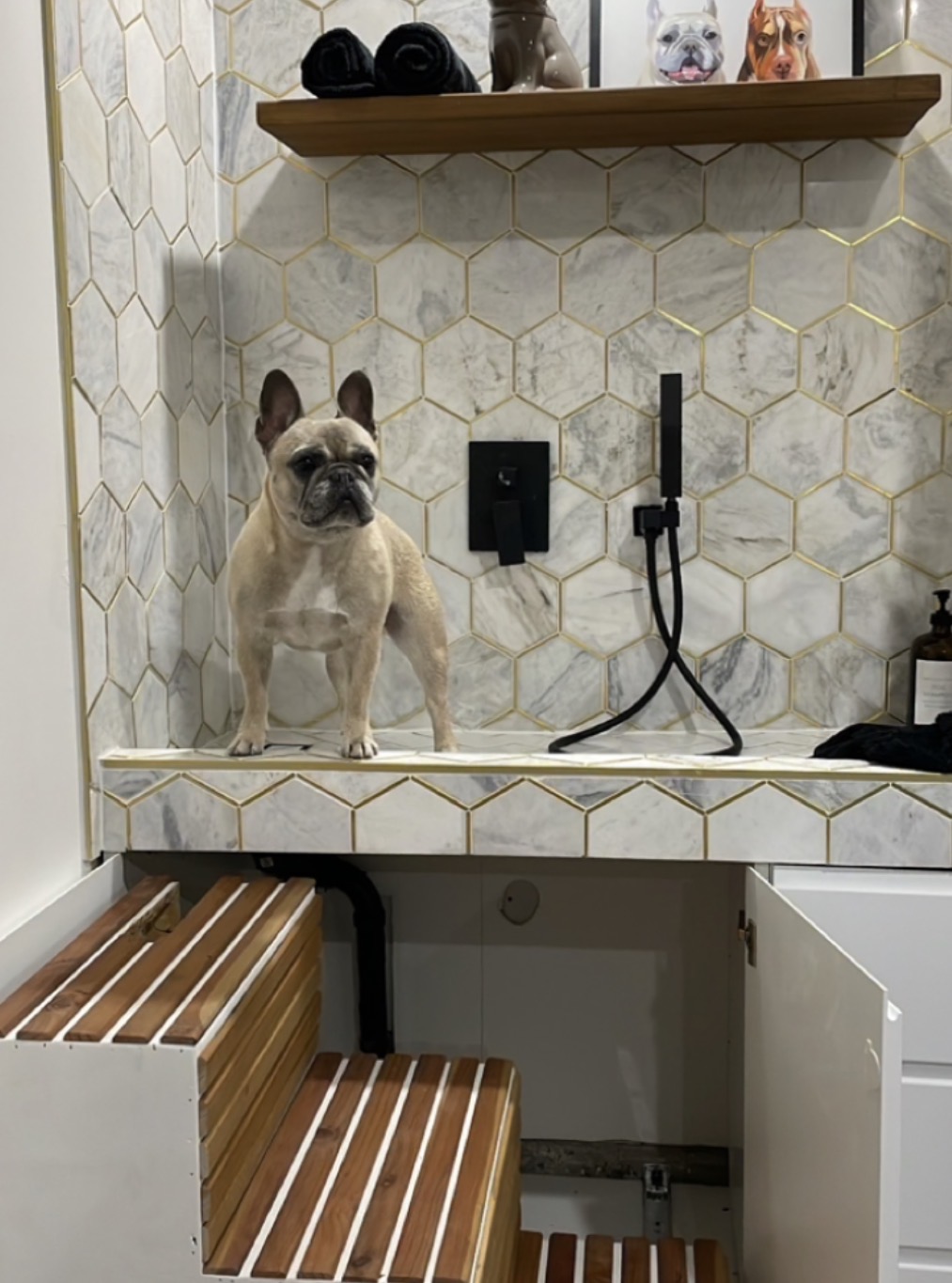 Custom Dog Washing Station in Granite Bay